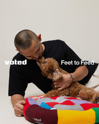 VOTED Launches 'Feet to Feed - Sole to Soul': Transforming Worn Socks into Cozy Pet Beds